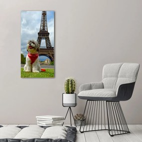 Print pe pânză Câine din Paris