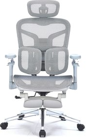 RESIGILAT- Scaun ergonomic premium DeluxStar T9 – cotiere 6D ultra moi, suport lombar adaptiv, spătar reglabil pe inaltime, tetiera 4D, mecanism multifunctional inclinare/blocare, pivotant, Mesh, Gri