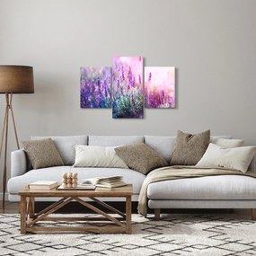 Tablou - Lavandă în strălucirea soarelui (90x60 cm)