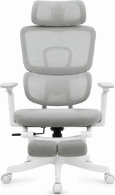 Scaun Ergonomic Premium cu Suport pentru Picioare, Reclinare 145°, Tetieră Reglabilă, Cotiere 3D, Suport Lombar Elastic și Șezut cu adâncime reglabilă, Gri