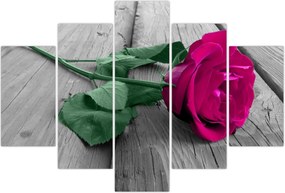 Tablou - Trandafir roz cu tulpina verde (150x105 cm)