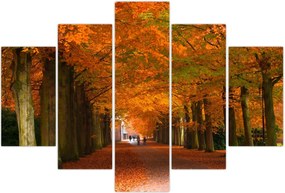 Tablou - Bulevardul de copaci în toamnă (150x105 cm)