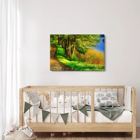 Tablou - poteci pe malul apei (90x60 cm)