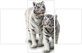 Tablou - Tigrul alb (90x60 cm)