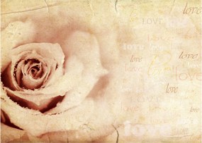 Tablou pe sticlă - floare de trandafir pentru îndrăgostiți (70x50 cm)