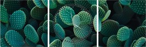 Tablou - Opuntia (cu ceas) (90x30 cm)