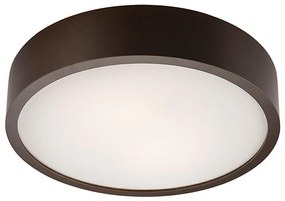 Plafonier 2xE27/60W/230V, iluminare plafon simplă și eficientă