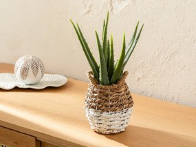 Natural Florı Artıfıcıale Î 40x18 Cm