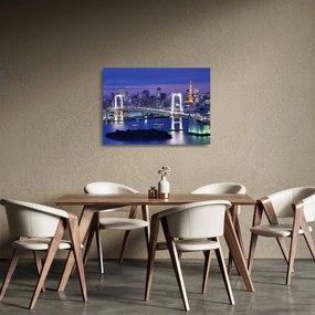 Tablou pe sticlă metropolei nocture (70x50 cm)