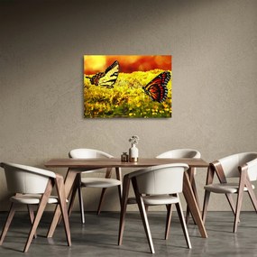 Tablou pe sticlă cu fluturi (70x50 cm)