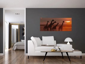 Tablou - Girafe în savana africană (120x50 cm)