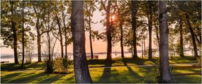 Tablou cu pomi lângă lac (120x50 cm)