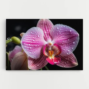 Tablou Canvas, 90x140cm, Dormitor si Living, Flori, Orhidee, Pretty Orchid After Rain