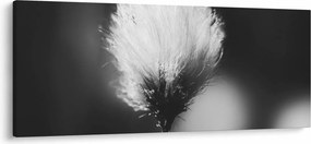 Tablou - Coțofană neagră și albă (120x50 cm)