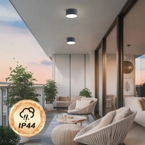 Brilagi - Plafonieră LED pentru baie FORIS, 14 W, 230 V, Ø 12 cm, antracit, IP44