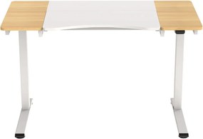 HALDEN birou cu reglare electrică a înălțimii, 120x60 cm alb-burlywood