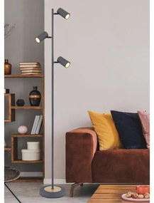 Lampadar, lampa de podea design industrial Robby grafit, maro