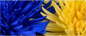 Tablou - detaliu florilor (120x50 cm)