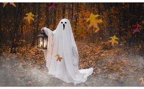 Decorațiune LED HALLOWEEN Retlux LED/3xAAA/alb cald, felinar