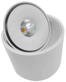 Spot LED aplicat directionabil de tavan/plafon BOSTON TUBE alb ZZ AZ3469
