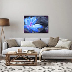 Tablou florilor în detailu (70x50 cm)