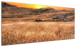 Tablou cu câmp (120x50 cm), în 40 de alte dimensiuni noi