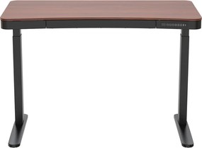 Birou HOORN cu reglare electrică a înălțimii, panou de control 120x60 cm negru nuc