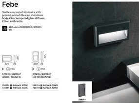 Mini Spot LED aplicat Exterior, Antracit, Protectie IP65, Febe-1 ap 4000k