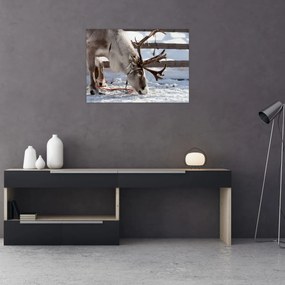 Tablou - Sâmbătă (70x50 cm)