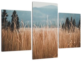 Tablou - detaliu spațiului de luncă (90x60 cm)