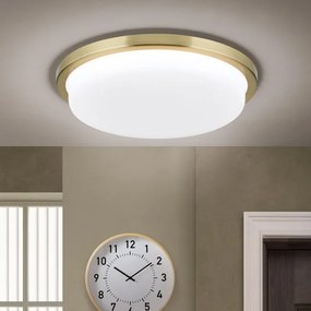 Plafoniera LED moderna LEROX Ã30cm alama antique