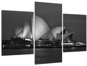 Tablou cu Opera din Sydney (90x60 cm)