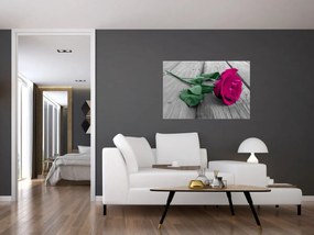 Tablou - Trandafir roz cu tulpina verde (90x60 cm)