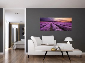 Tablou - Câmp de lavandă la apus de soare (120x50 cm)