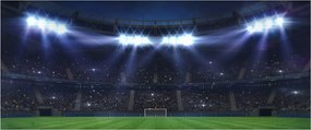 Tablou - Stadion de fotbal (120x50 cm)