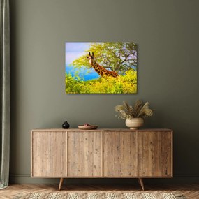 Tablou pe sticlă - Girafa în Africa (70x50 cm)