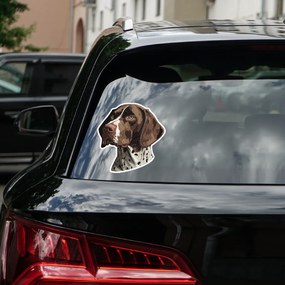 PIPPER. Autocolant Arătator german cu păr scurt mărimea: 60cm