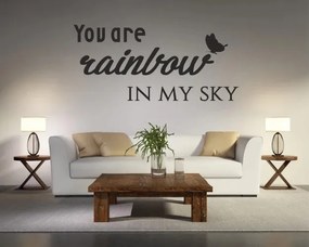 Autocolant de perete YOU ARE RAINBOW IN MY SKY 50 x 100 cm