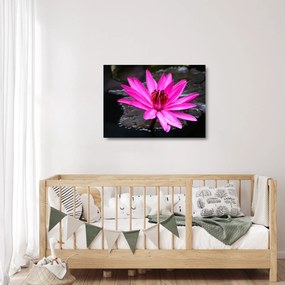 Tablou pe sticlă - floarea roz (70x50 cm)