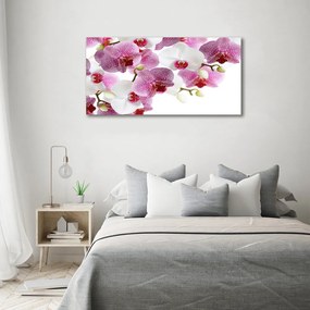 Tablou pe pânză canvas Orhidee