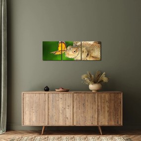Tablou - Șopârlă (cu ceas) (90x30 cm)