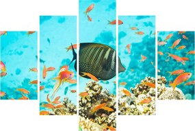 Tablou lumii submarine (150x105 cm)