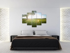 Tablou cu lunca în vară (150x105 cm)