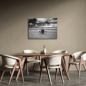 Tablou - Avion alb-negru și alb-negru (70x50 cm)