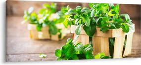 Tablou cu menta proaspătă (120x50 cm)