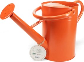 Stropitoare din metal 4,5 l – Rex London