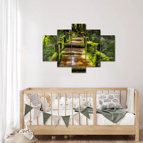 Tablou cu scări într-o pădure tropicală (150x105 cm)