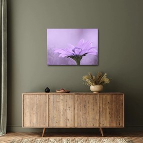 Tablou - Flori mov (70x50 cm)