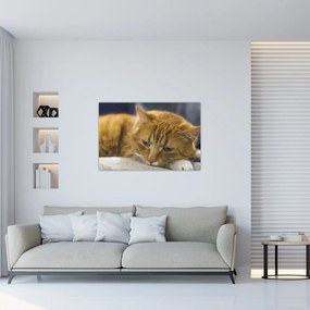 Tablou cu pisica (90x60 cm)