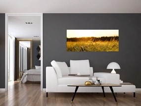 Tablou iarba cu rouă (120x50 cm)